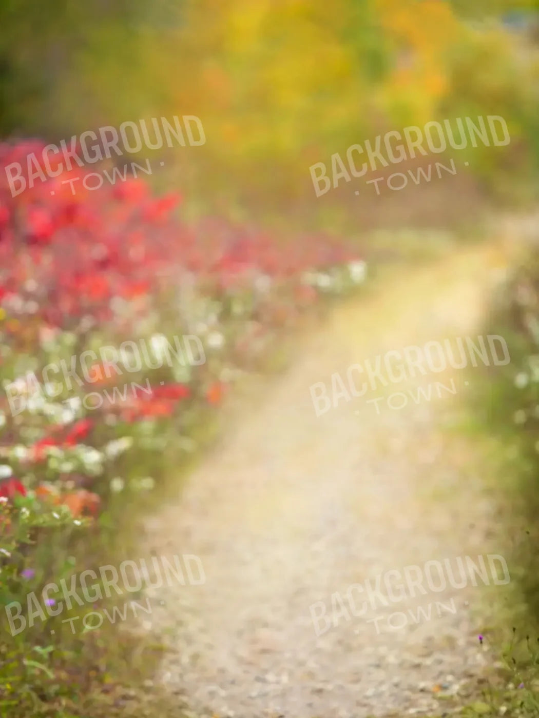 Out For A Walk 6’x8’ Fleece (72 x 96 inch) Backdrop
