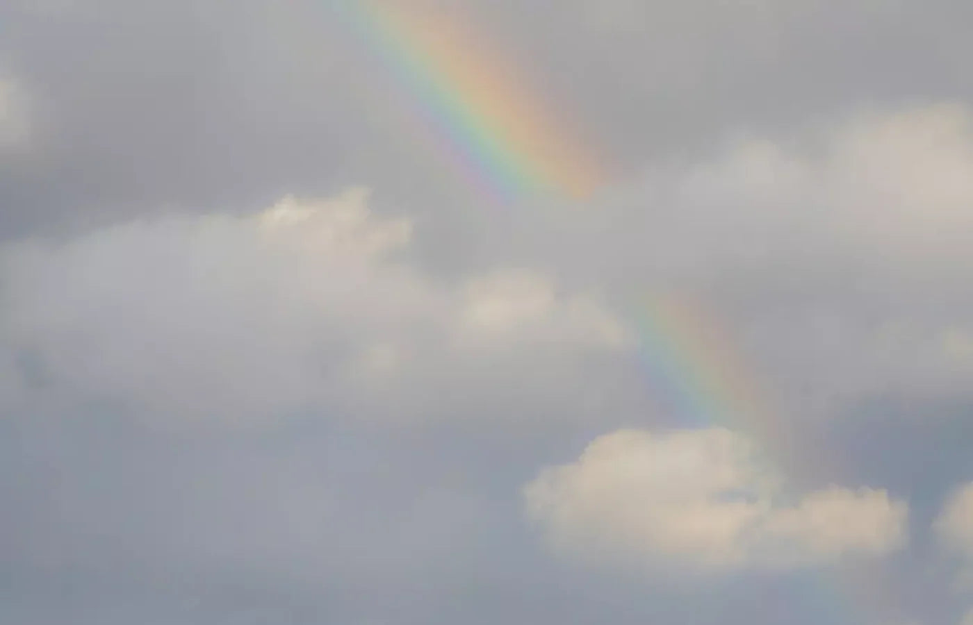 Over The Rainbow 12X8 Ultracloth ( 144 X 96 Inch ) Backdrop