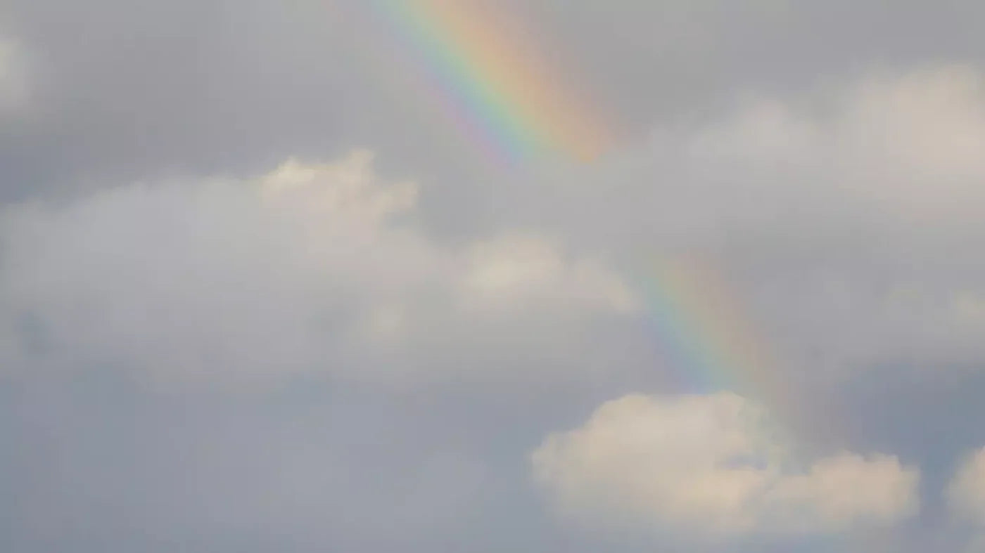 Over The Rainbow 14X8 Ultracloth ( 168 X 96 Inch ) Backdrop