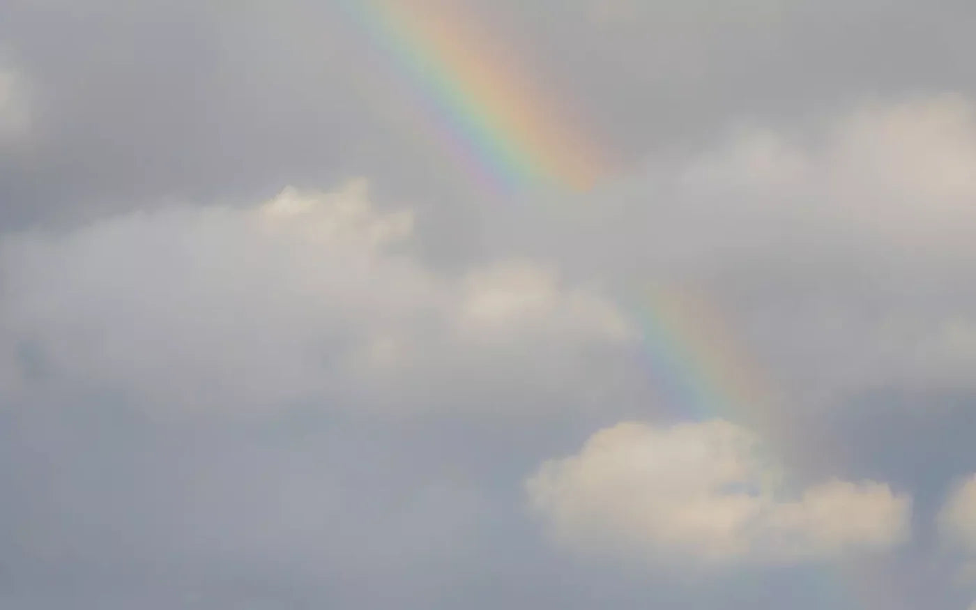 Over The Rainbow 14X9 Ultracloth ( 168 X 108 Inch ) Backdrop