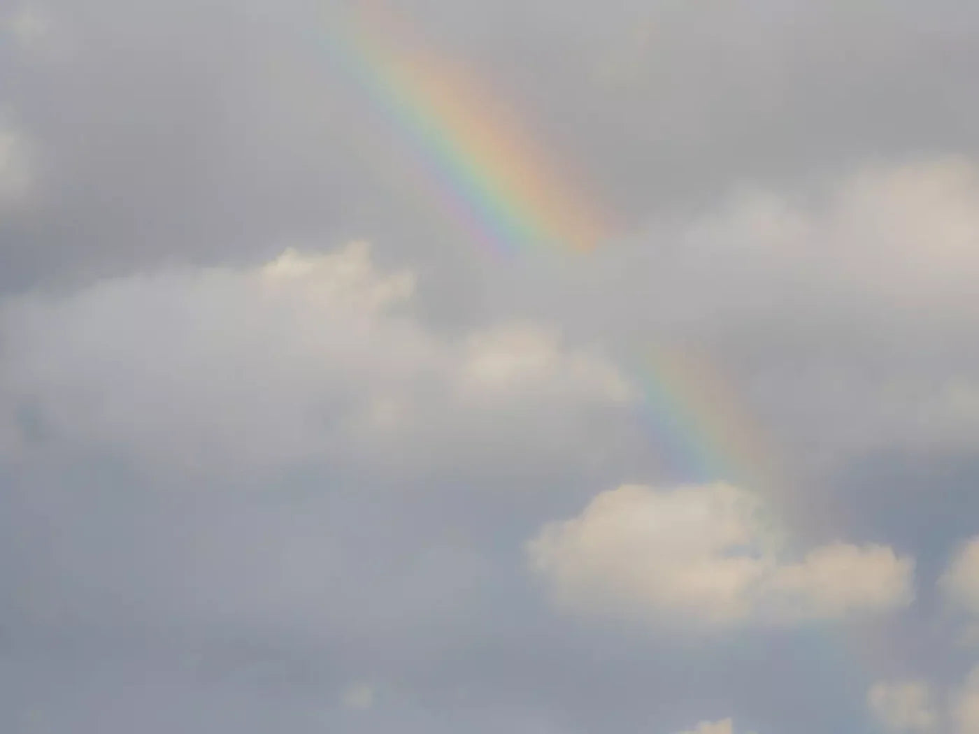 Over The Rainbow 68X5 Fleece ( 80 X 60 Inch ) Backdrop