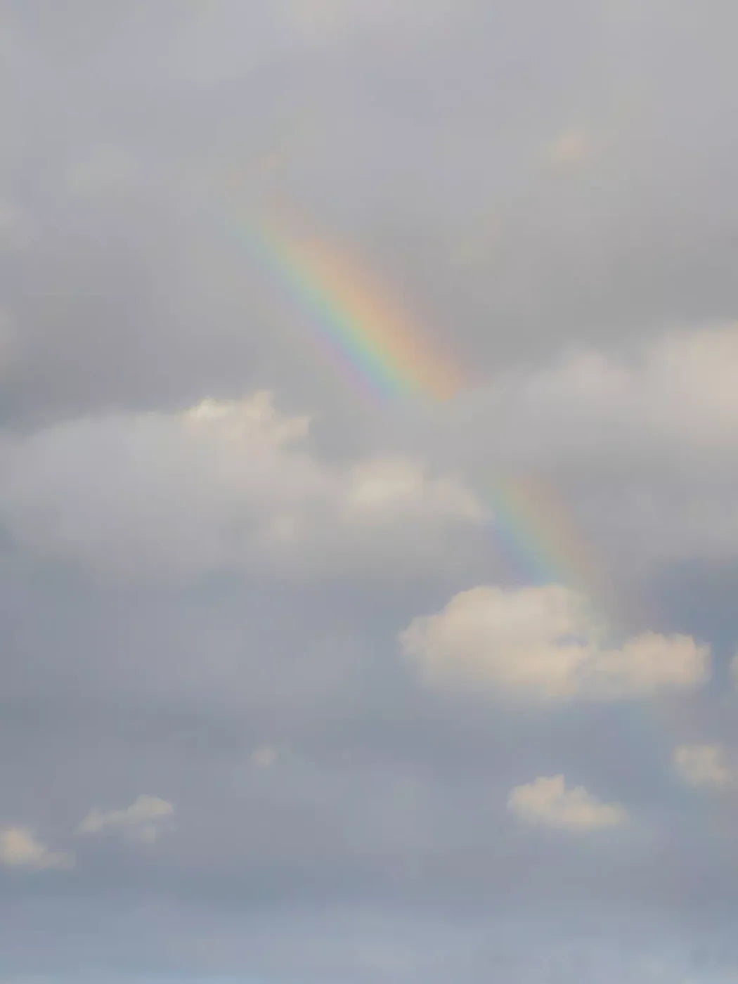 Over The Rainbow 8X10 Fleece ( 96 X 120 Inch ) Backdrop