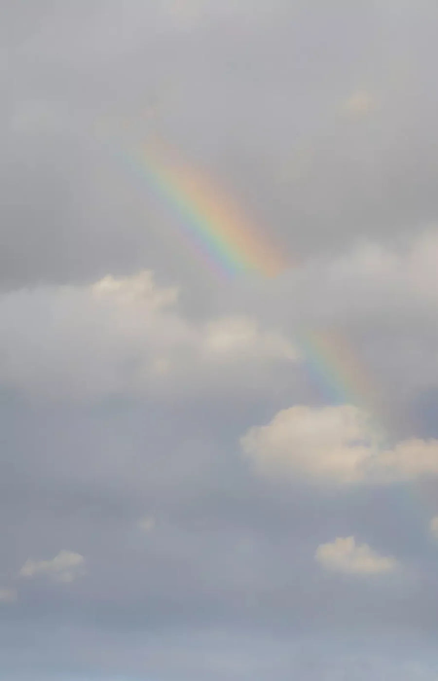 Over The Rainbow 8X12 Ultracloth ( 96 X 144 Inch ) Backdrop