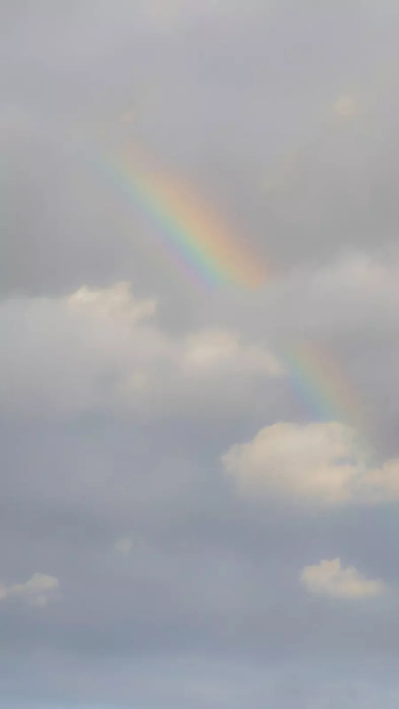 Over The Rainbow 8X14 Ultracloth ( 96 X 168 Inch ) Backdrop