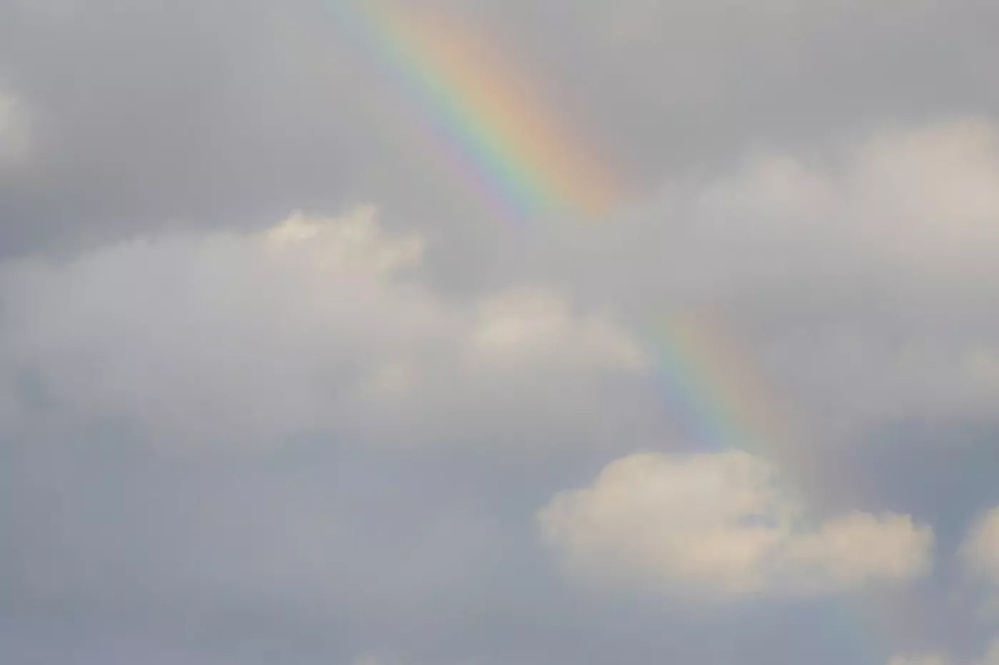 Over The Rainbow 8X5 Ultracloth ( 96 X 60 Inch ) Backdrop