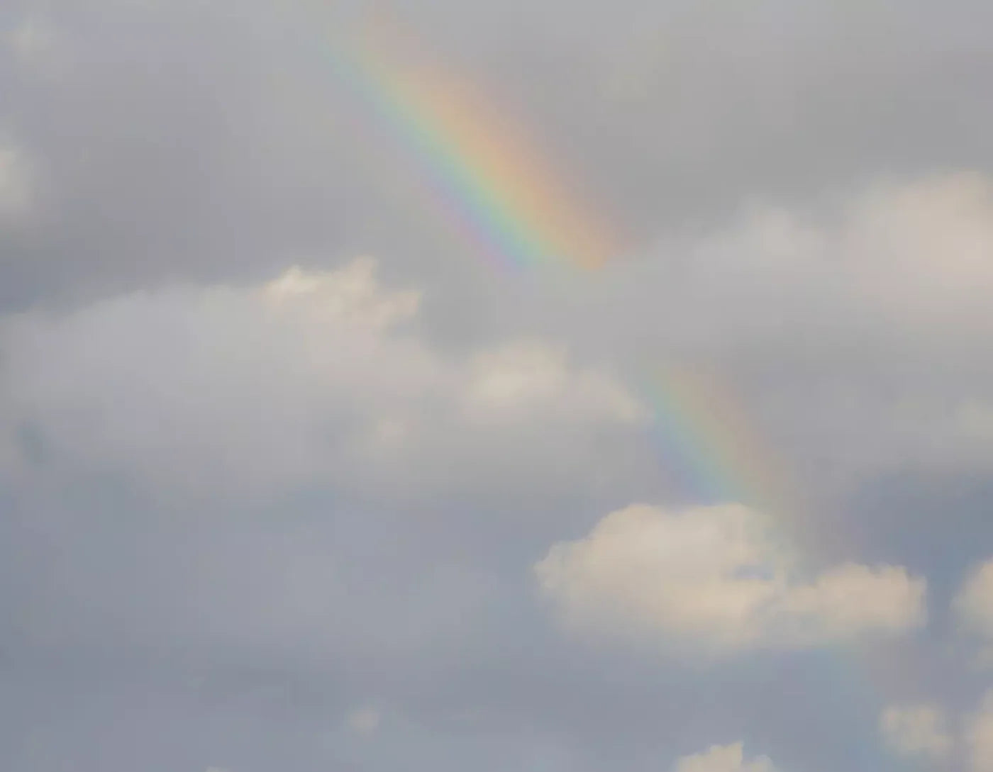 Over The Rainbow 8X6 Fleece ( 96 X 72 Inch ) Backdrop