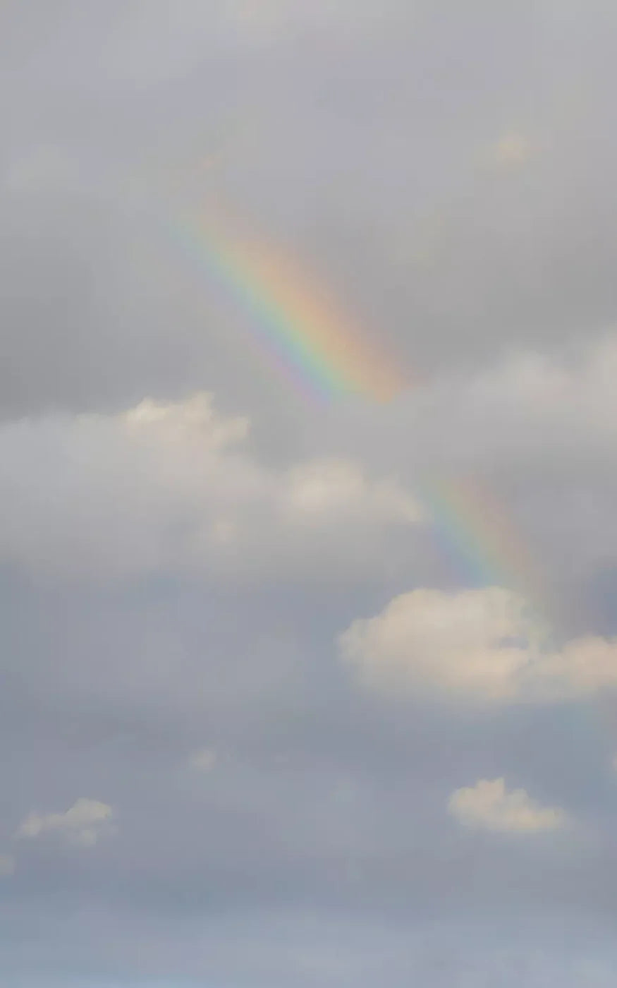 Over The Rainbow 9X14 Ultracloth ( 108 X 168 Inch ) Backdrop