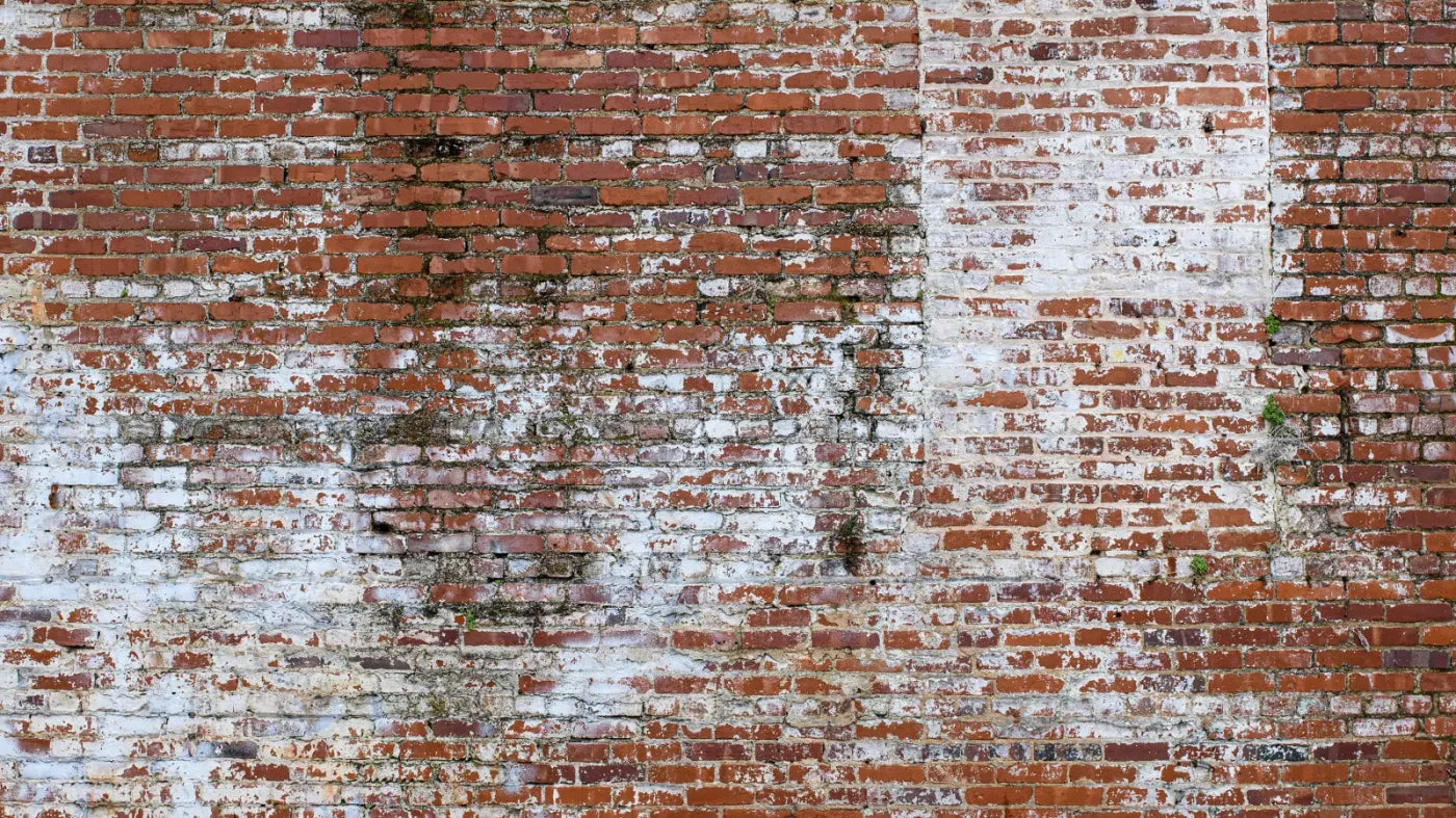 Painted Brick 14X8 Ultracloth ( 168 X 96 Inch ) Backdrop