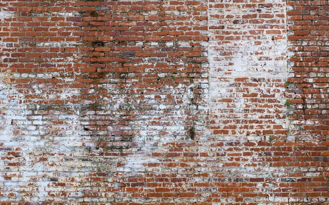 Painted Brick 14X9 Ultracloth ( 168 X 108 Inch ) Backdrop