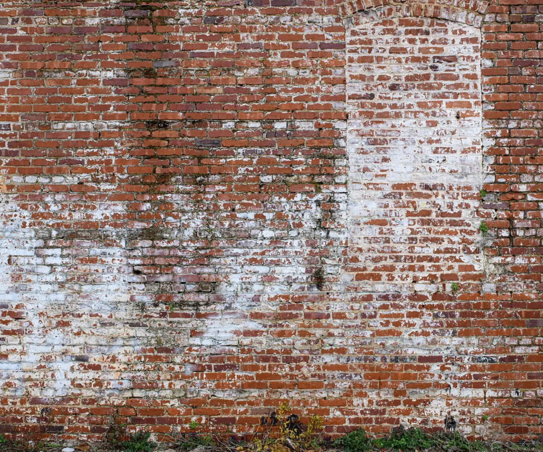 Painted Brick 5X42 Fleece ( 60 X 50 Inch ) Backdrop