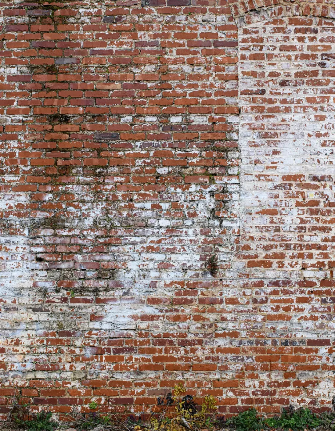 Painted Brick 6X8 Fleece ( 72 X 96 Inch ) Backdrop
