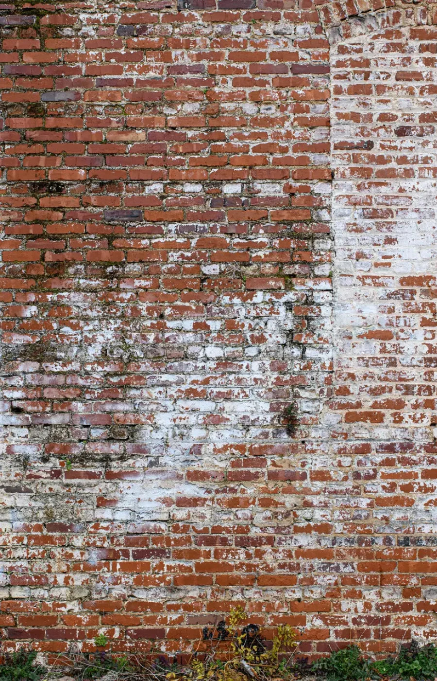 Painted Brick 8X12 Ultracloth ( 96 X 144 Inch ) Backdrop