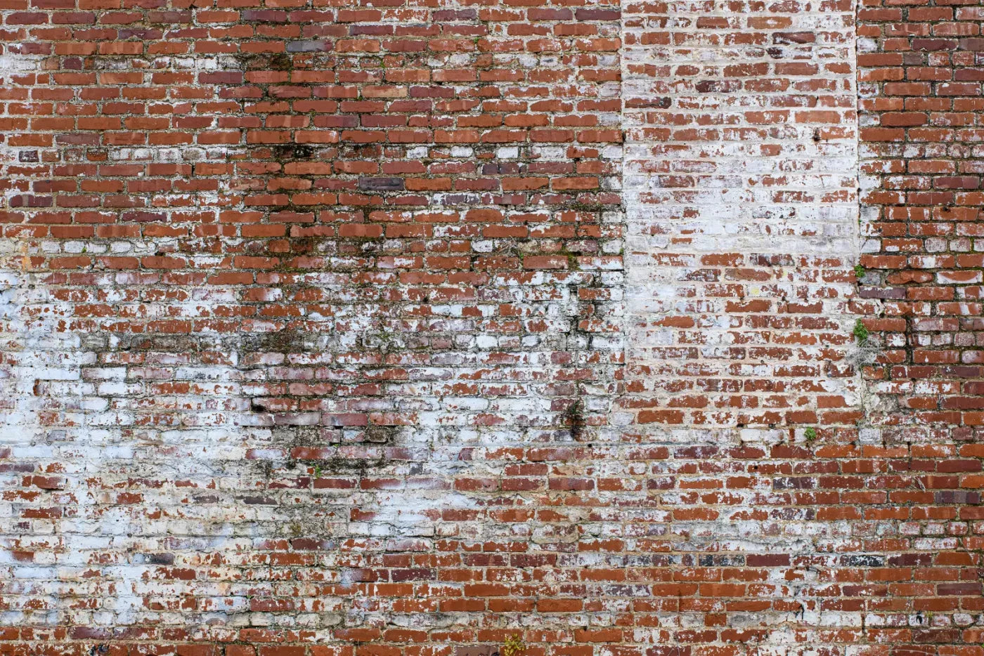 Painted Brick 8X5 Ultracloth ( 96 X 60 Inch ) Backdrop
