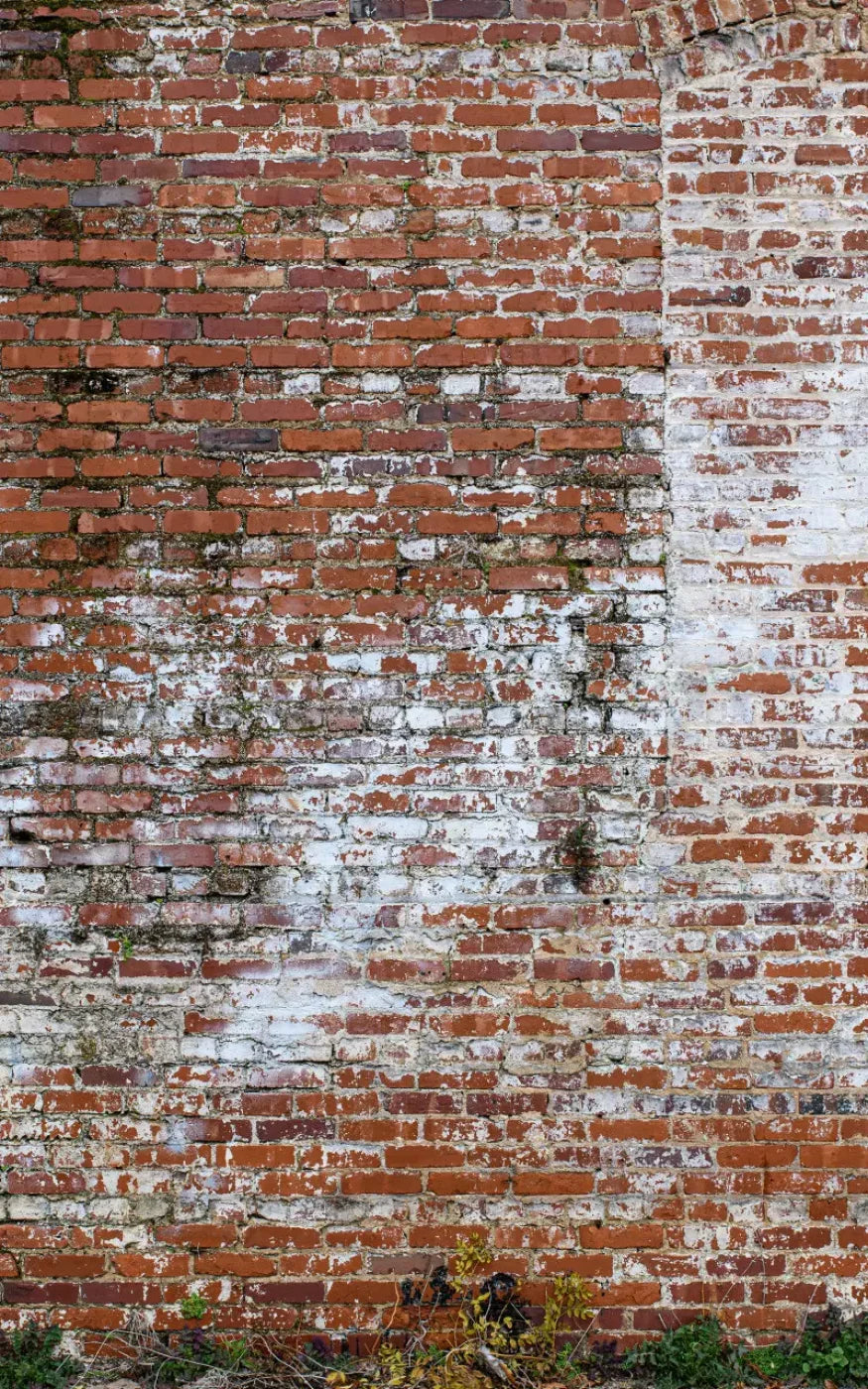 Painted Brick 9X14 Ultracloth ( 108 X 168 Inch ) Backdrop
