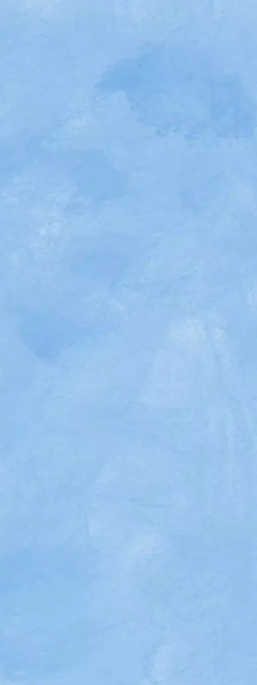 Painted Sky 8X20 Ultracloth ( 96 X 240 Inch ) Backdrop