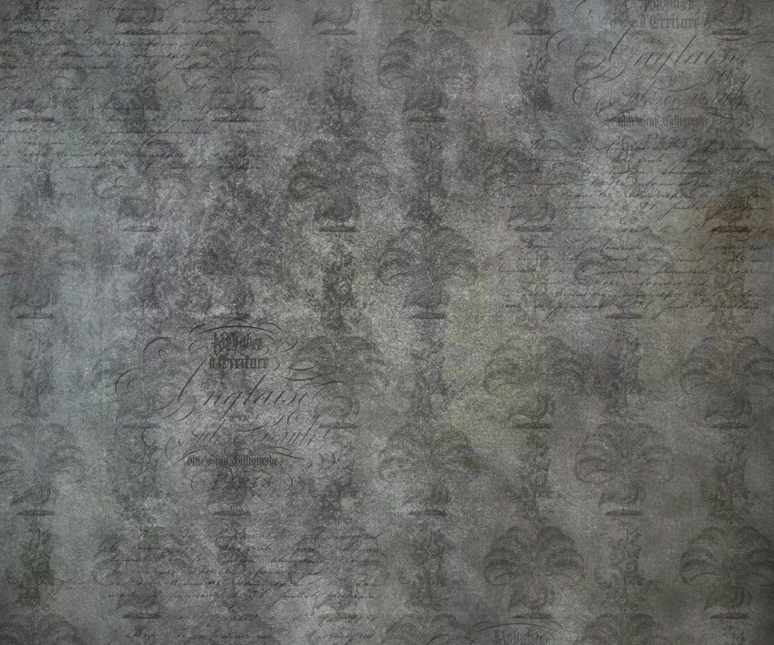 Paris 5X42 Fleece ( 60 X 50 Inch ) Backdrop