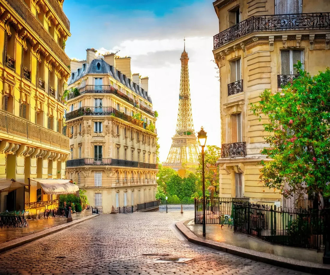 Paris Street Corner 5’x4’2 Fleece (60 x 50 inch) Backdrop