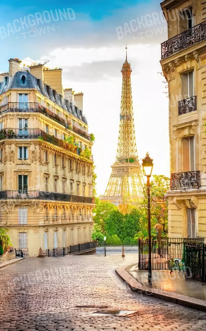 Paris Street Corner 5’x8’ UltraCloth (60 x 96 inch) Backdrop