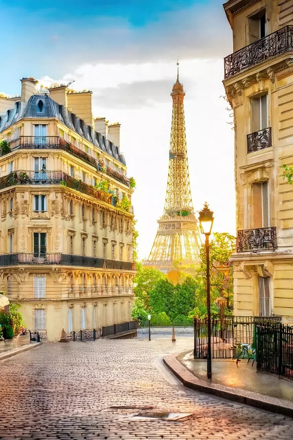 Paris Street Corner 8’x12’ UltraCloth (96 x 144 inch) Backdrop