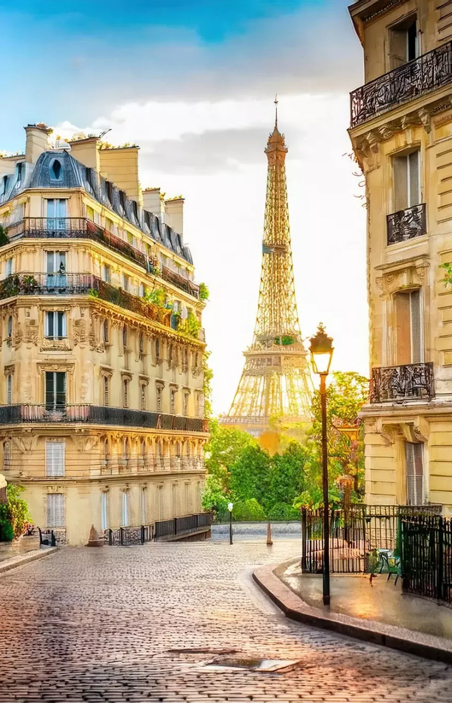 Paris Street Corner Backdrop