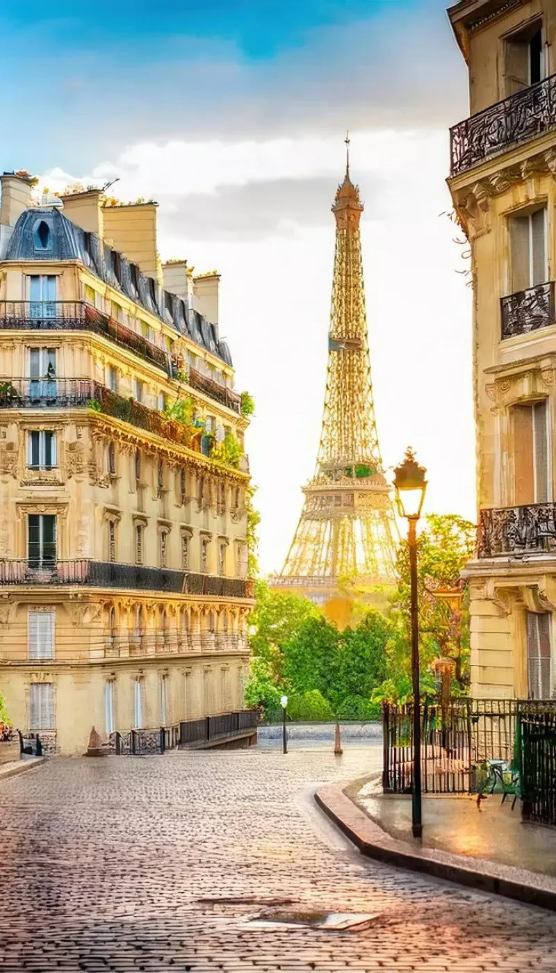 Paris Street Corner Backdrop