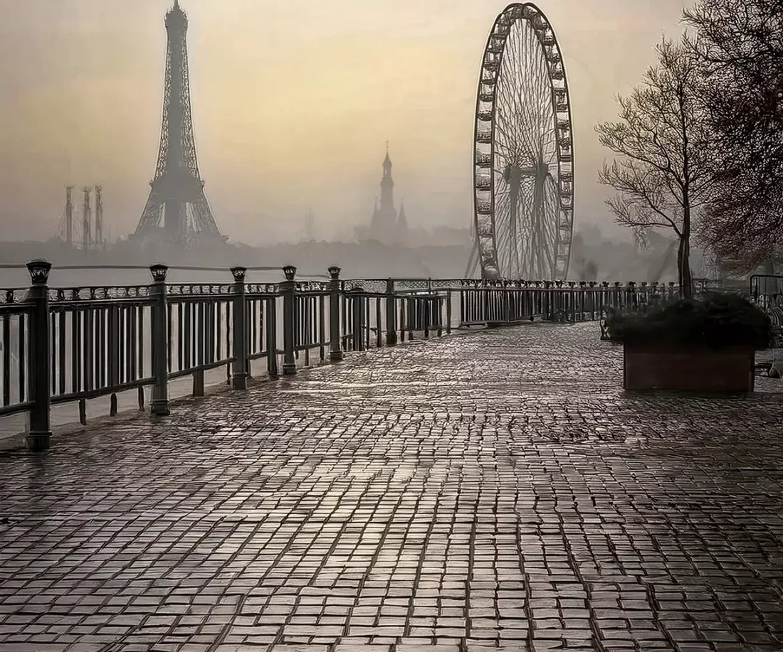 Evening View in Paris 5’x4’2 Fleece (60 x 50 inch) Backdrop