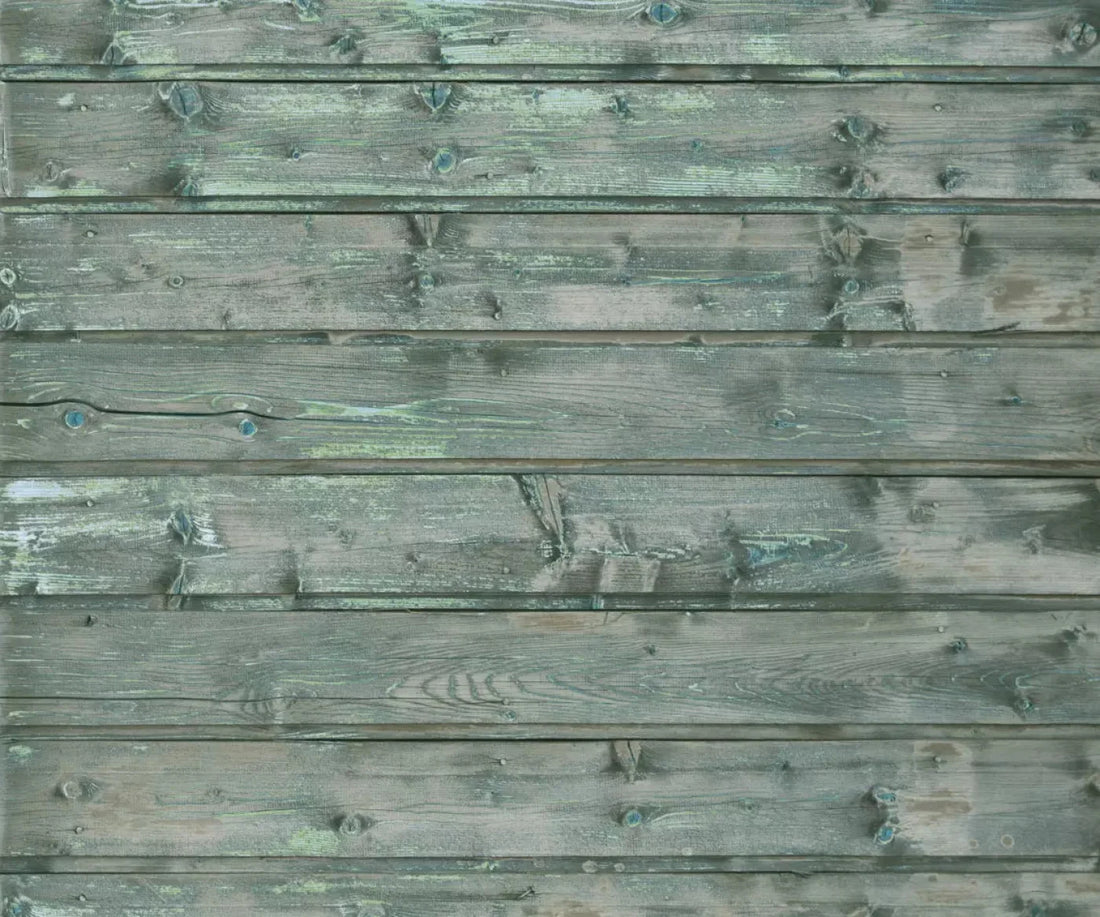 Parked 5X42 Fleece ( 60 X 50 Inch ) Backdrop