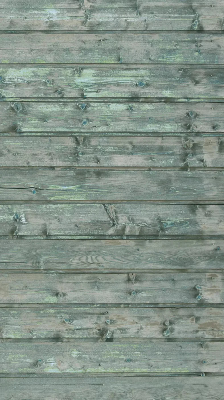 Parked 8X14 Ultracloth ( 96 X 168 Inch ) Backdrop