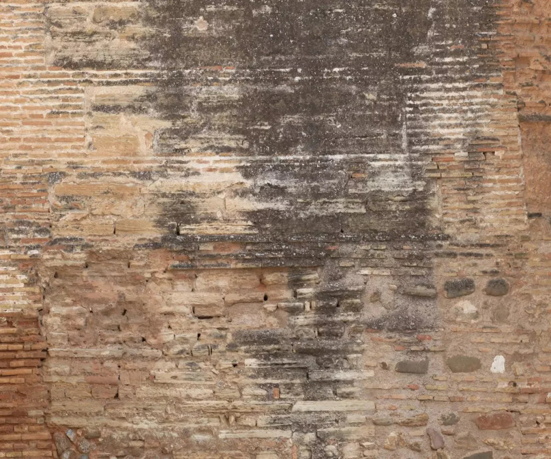 Partition 5X42 Fleece ( 60 X 50 Inch ) Backdrop