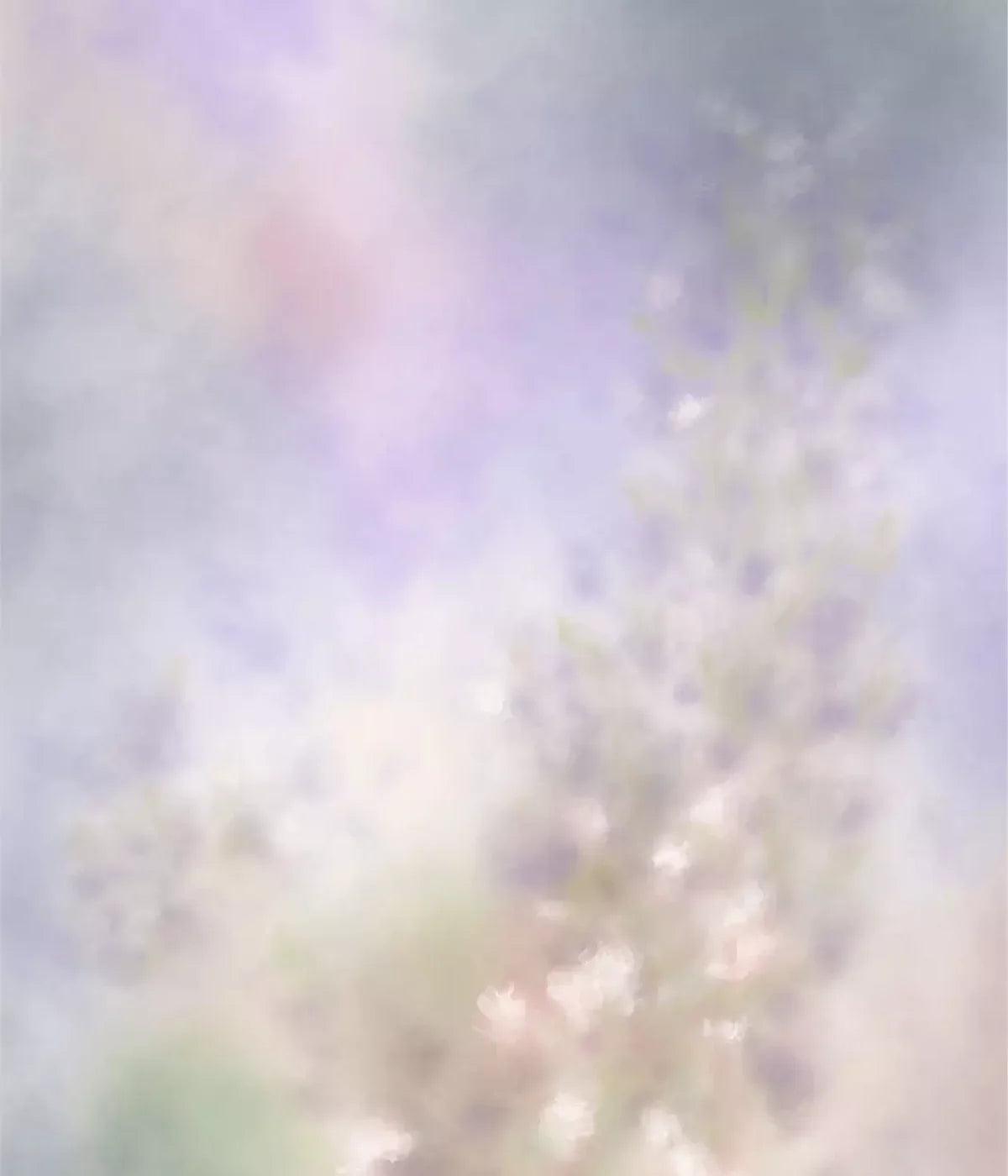 Pastel Fog 10X12 Ultracloth ( 120 X 144 Inch ) Backdrop