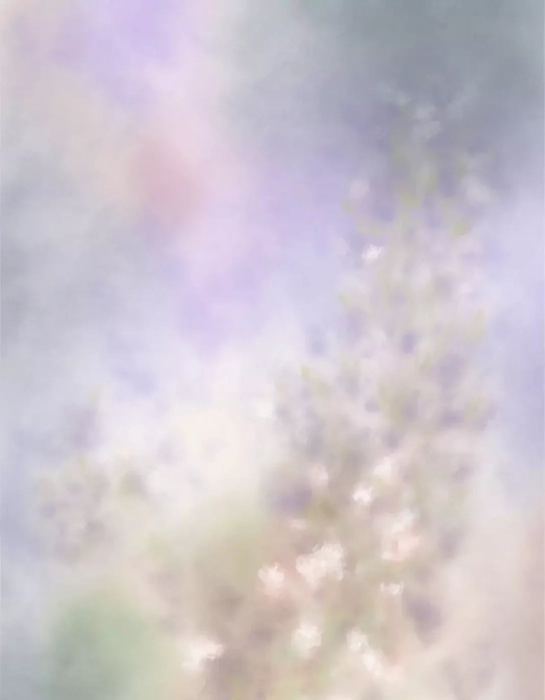 Pastel Fog 6X8 Fleece ( 72 X 96 Inch ) Backdrop