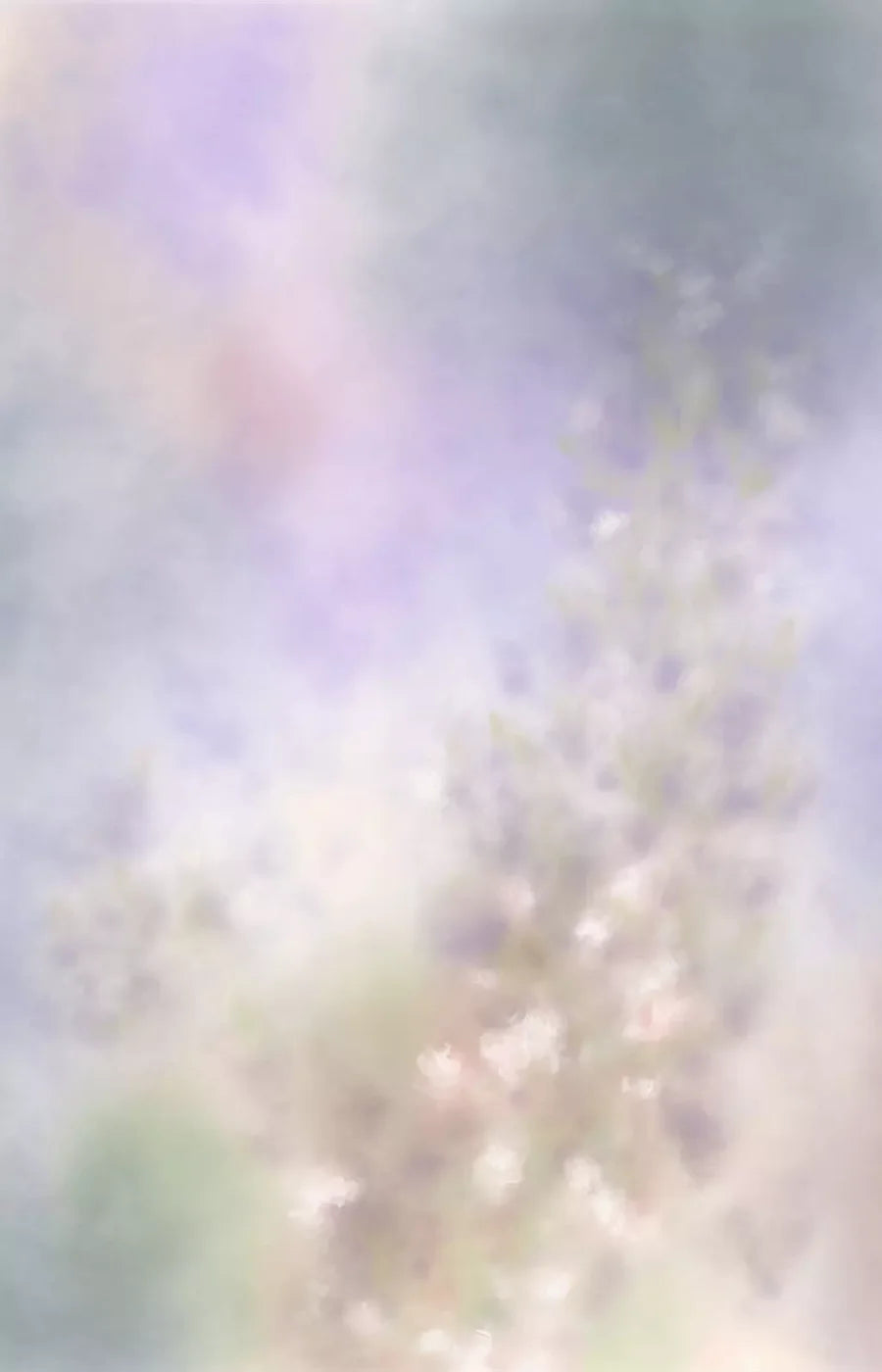 Pastel Fog 8X12 Ultracloth ( 96 X 144 Inch ) Backdrop