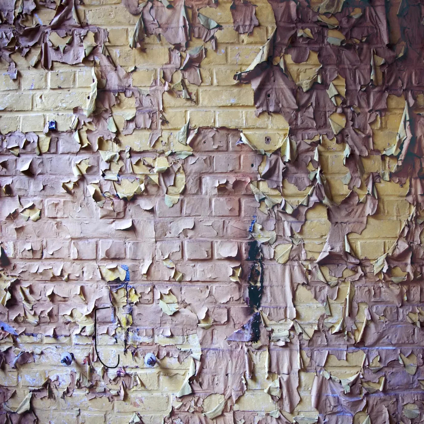 Pastel Peels 10X10 Ultracloth ( 120 X Inch ) Backdrop