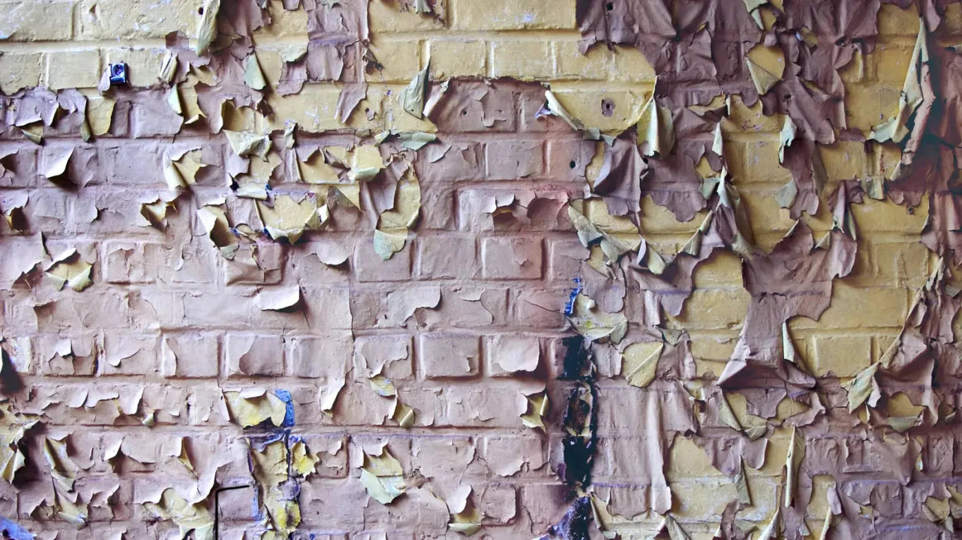 Pastel Peels 14X8 Ultracloth ( 168 X 96 Inch ) Backdrop