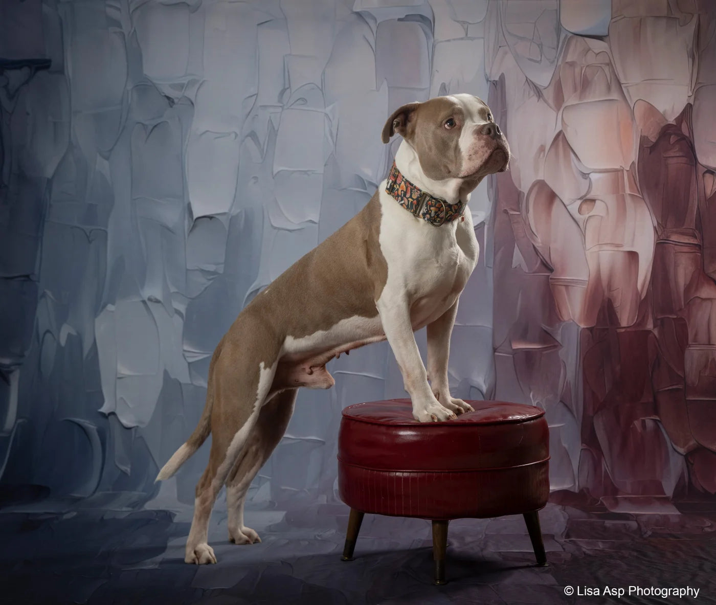 Patriotic Spackle Backdrop