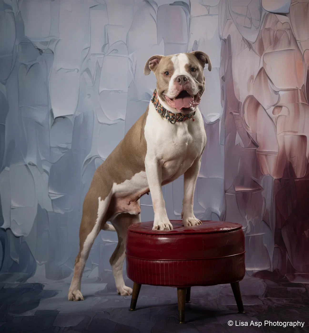 Patriotic Spackle Backdrop