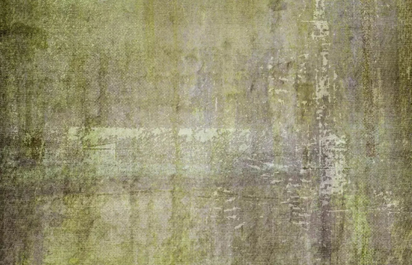 Paul 12X8 Ultracloth ( 144 X 96 Inch ) Backdrop