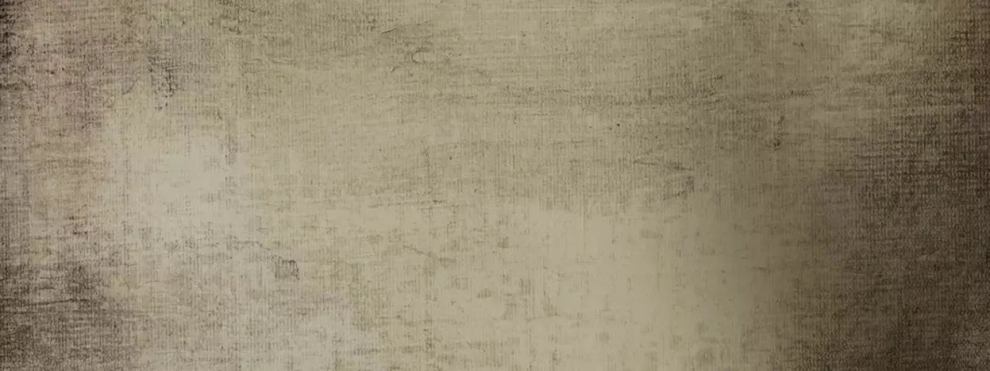 Paxton 20X8 Ultracloth ( 240 X 96 Inch ) Backdrop