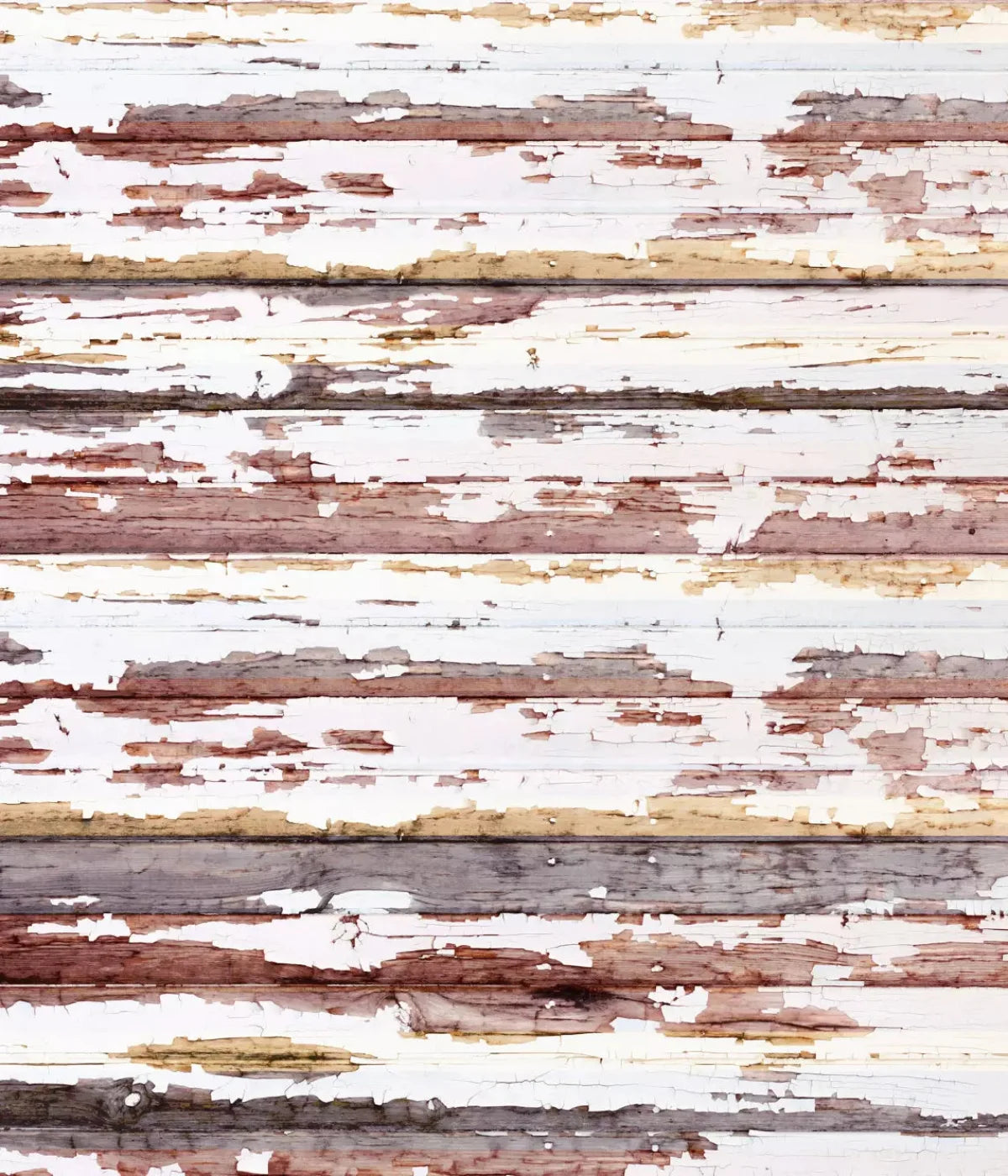Payden 10X12 Ultracloth ( 120 X 144 Inch ) Backdrop