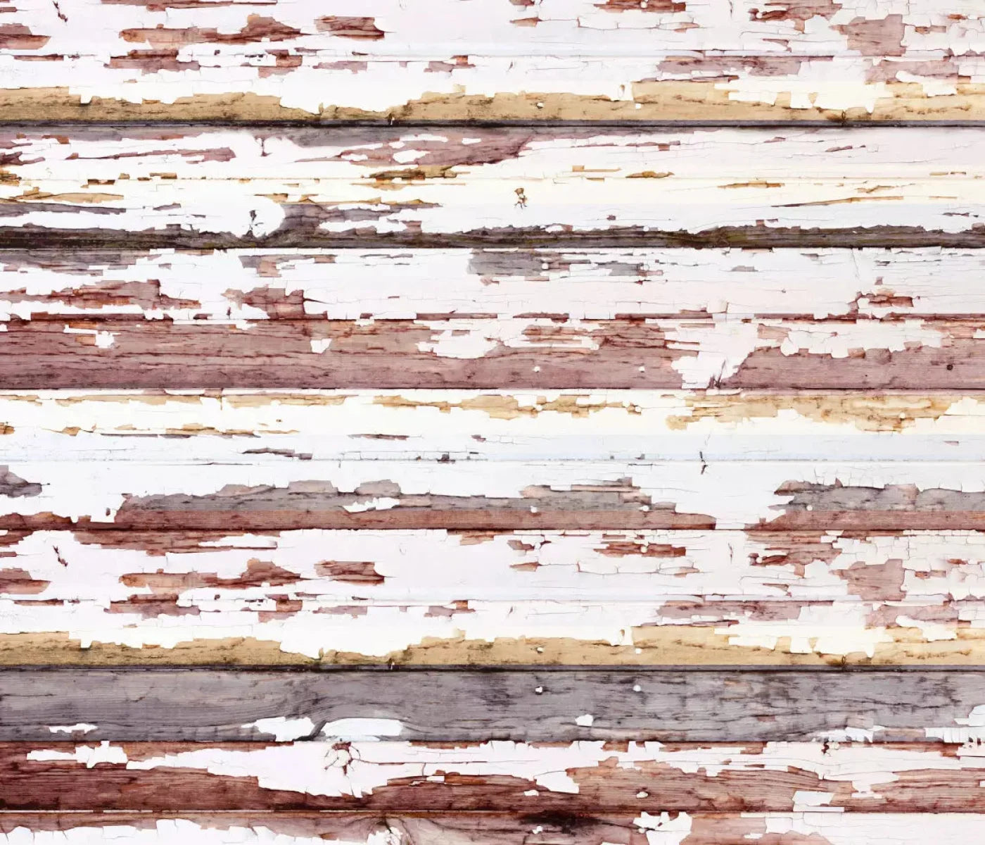 Payden 12X10 Ultracloth ( 144 X 120 Inch ) Backdrop