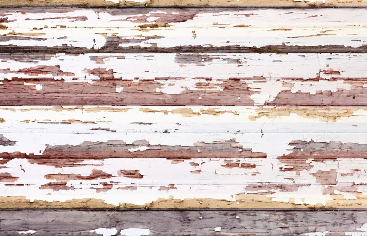 Payden 12X8 Ultracloth ( 144 X 96 Inch ) Backdrop