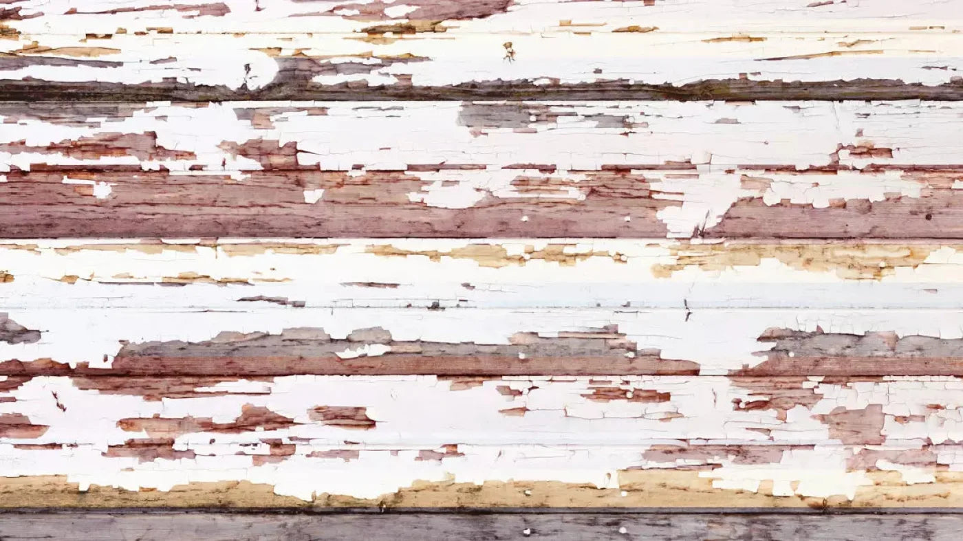 Payden 14X8 Ultracloth ( 168 X 96 Inch ) Backdrop