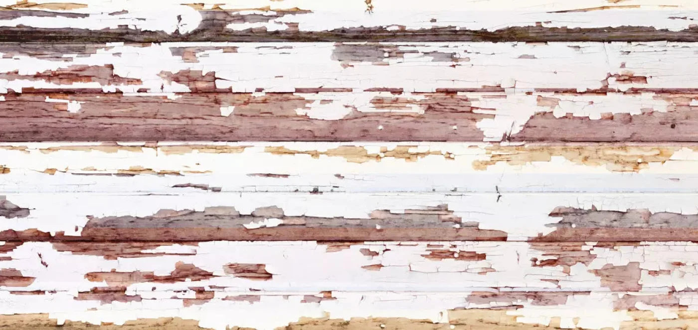 Payden 16X8 Ultracloth ( 192 X 96 Inch ) Backdrop