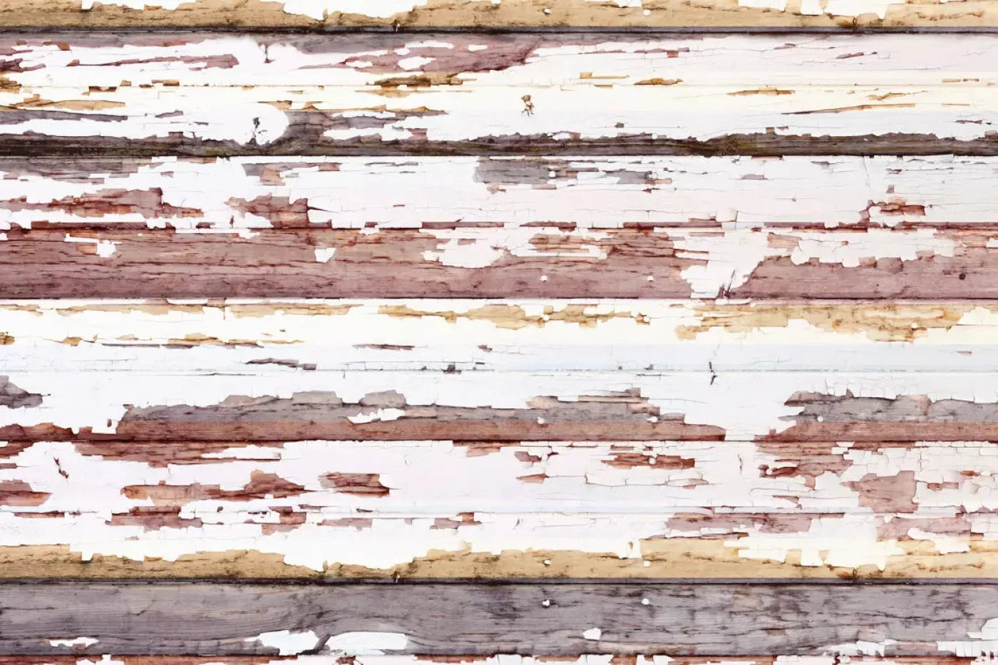 Payden 8X5 Ultracloth ( 96 X 60 Inch ) Backdrop