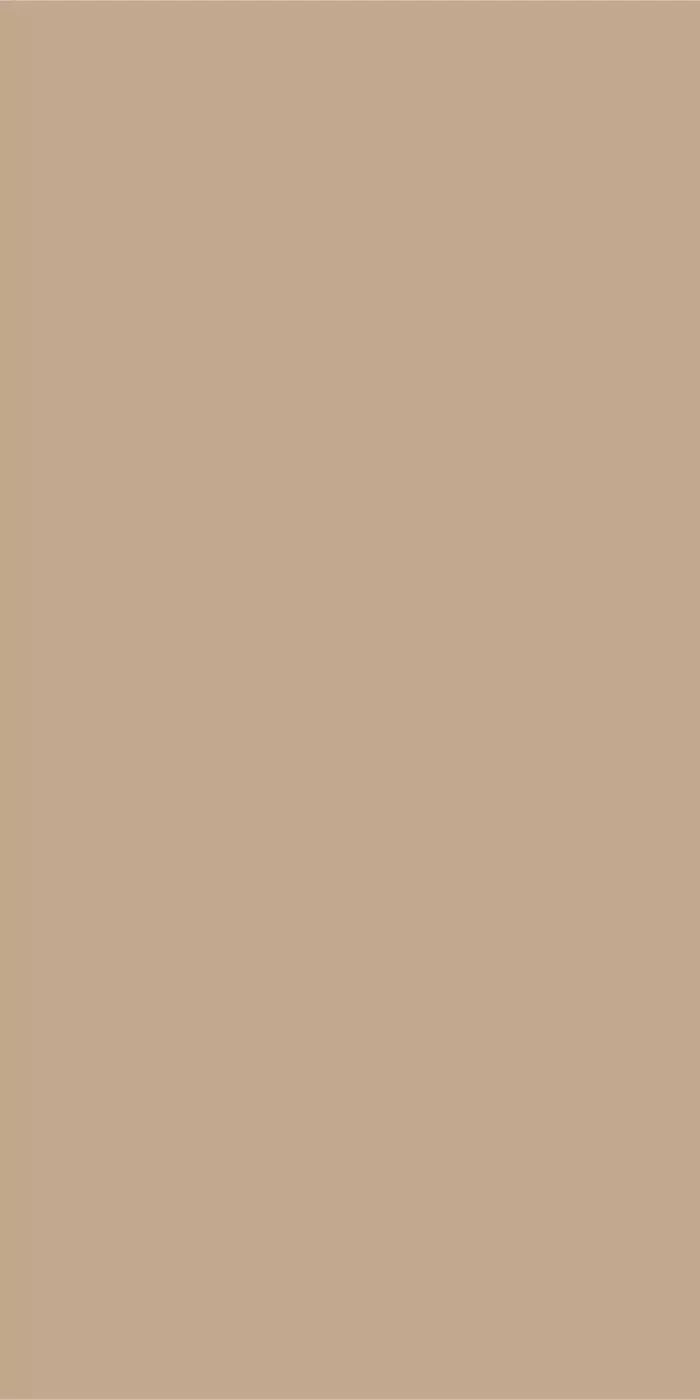 Peanut 10X20 Ultracloth ( 120 X 240 Inch ) Backdrop