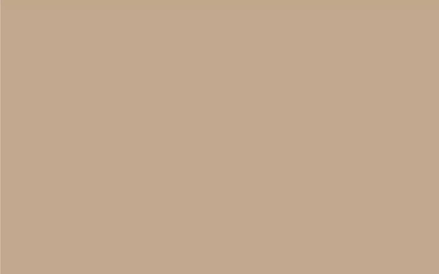 Peanut 14X9 Ultracloth ( 168 X 108 Inch ) Backdrop