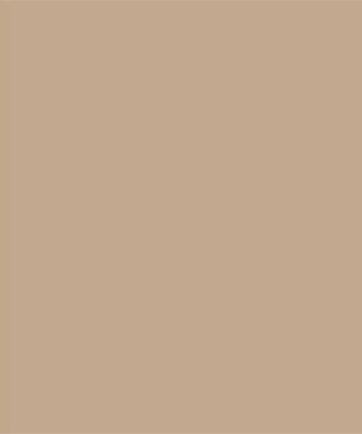 Peanut Brown Solid Color Backdrop for Photography