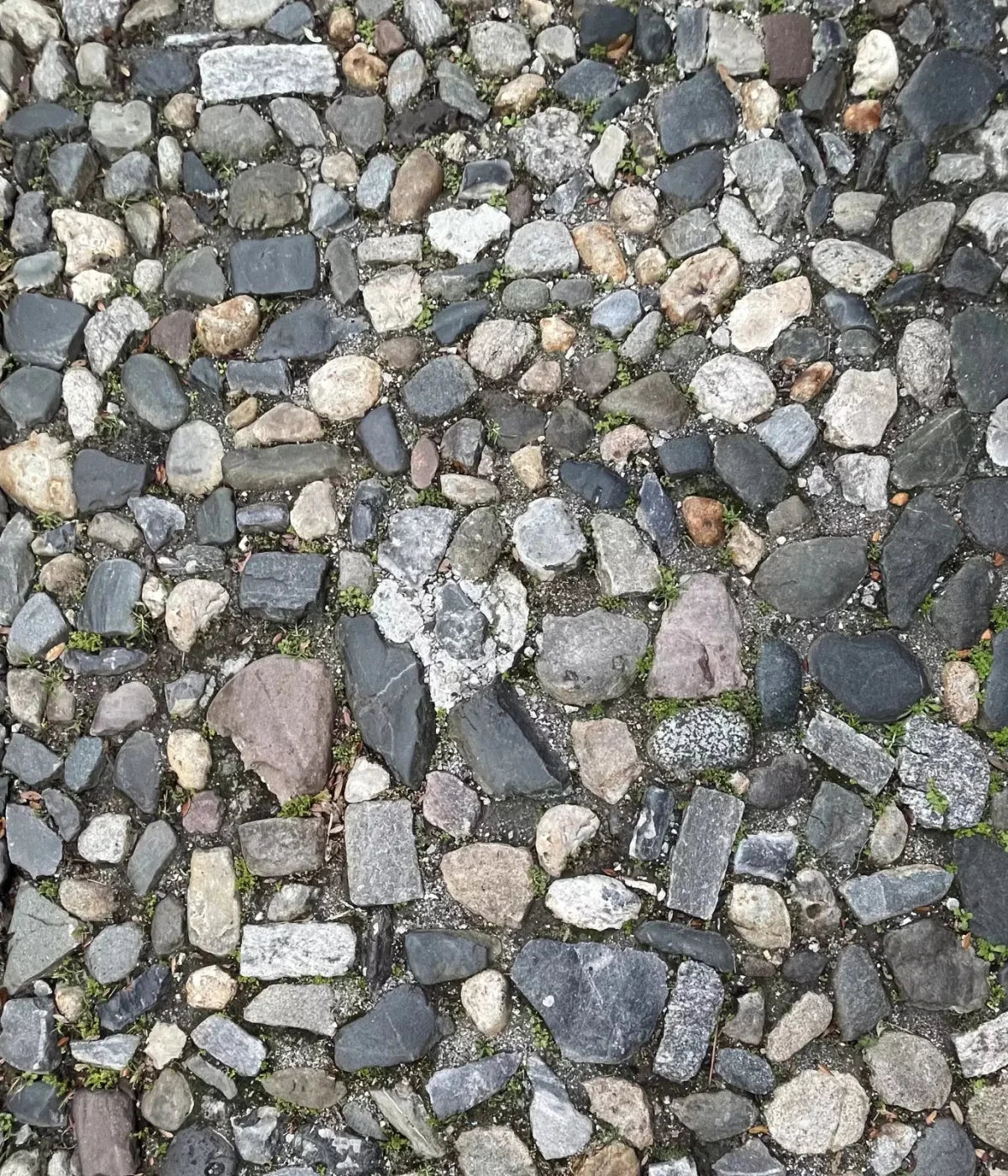 Pebble Path 2 Floor 10X12 Ultracloth ( 120 X 144 Inch ) Backdrop