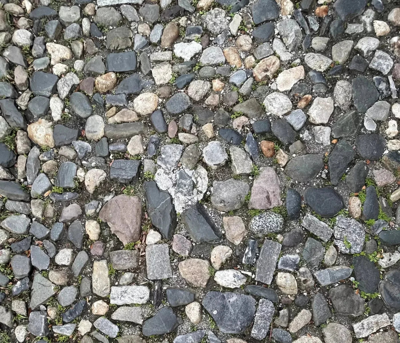 Pebble Path 2 Floor 12X10 Ultracloth ( 144 X 120 Inch ) Backdrop