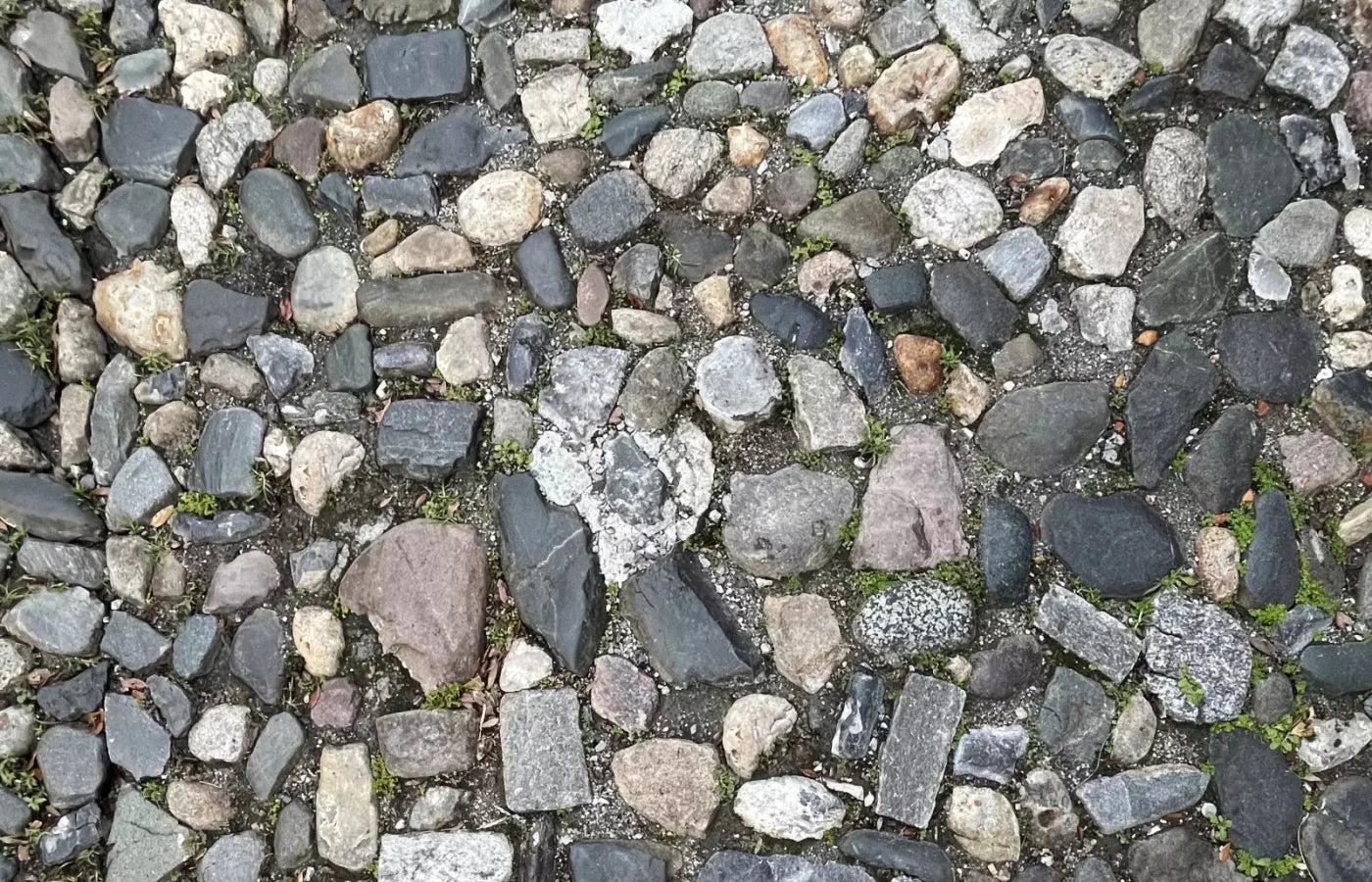 Pebble Path 2 Floor 12X8 Ultracloth ( 144 X 96 Inch ) Backdrop